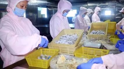 半島味道獻(xiàn)禮 一份滿載象山風(fēng)情的海鮮禮包，獻(xiàn)給最珍貴的您