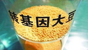 金龍魚陷轉(zhuǎn)基因門風(fēng)波 專家稱安全性尚無定論，對酒類經(jīng)營有何啟示？