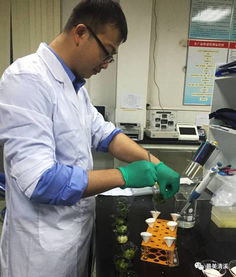 清溪食藥監分局年度抽檢成效顯著，筑牢食品藥品安全防線